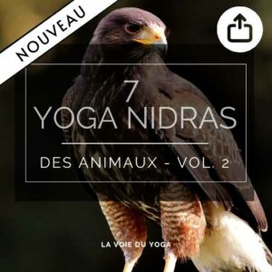 Coffret audio Yoga Nidra des animaux