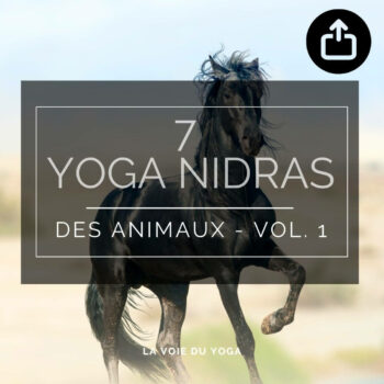 Coffret audio Yoga Nidra des animaux