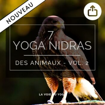 Coffret audio Yoga Nidra